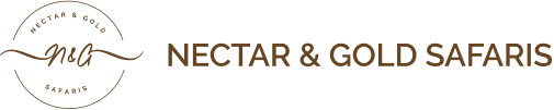 N&G Logo